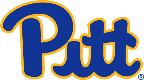 Pittsburgh Panthers 2019-Pres Primary Logo iron on transfers for clothing